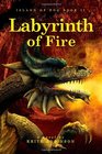 Labyrinth of Fire