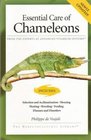 Essential Care of Chameleons