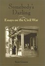 Somebody's Darling Essays on the Civil War