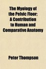 The Myology of the Pelvic Floor A Contribution to Human and Comparative Anatomy