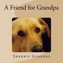 A Friend for Grandpa