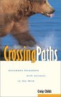 Crossing Paths Uncommon Encounters With Animals in the Wild