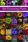 300 Flowering Plants