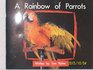 A Rainbow of Parrots
