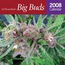 Ed Rosenthal's Big Buds 2008 Marijuana Calendar