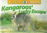 Kangaroo's Lucky Escape