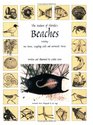 The Nature of Florida's Beaches Including Sea Beans, Laughing Gulls and Mermaids' Purses
