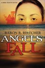 Angels Fall (Mike Travis, Bk 3)