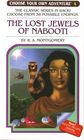 The Lost Jewels of Nabooti (Choose Your Own Adventure, Bk 10)