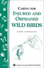 Helping Orphaned or Injured Wild Birds : Storey Country Wisdom Bulletin A-210 (Storey Country Wisdom Bulletin, a-210)