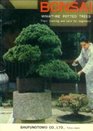 Bonsai: Miniature Potted Trees
