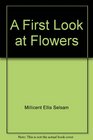 A First Look at Flowers