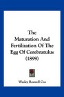 The Maturation And Fertilization Of The Egg Of Cerebratulus