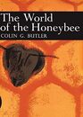NN WORLD OF THE HONEYBEE 29