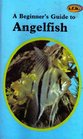 Beginner's Guide to Angelfish