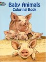 Baby Animals Book