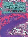 Outlines in Pathology
