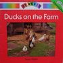 Ducks on the farm
