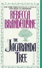 The Jacaranda Tree