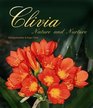 Clivia Nature and Nurture