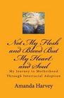 Not My Flesh and Blood But My Heart and Soul My Journey to Motherhood Through Interracial Adoption