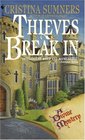 Thieves Break In (Divine Mystery, Bk 2)