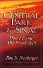 From Central Park to Sinai How I Found My Jewish Soul