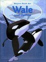 Meyers Buch der Wale und Delfine Entdecken  Beobachten  Verstehen