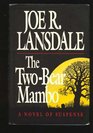 The Two-Bear Mambo: A Novel of Suspense