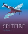 Spitfire Icon of a Nation