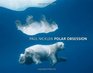 Polar Obsession