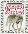 Amazing Wolves Dogs  Foxes