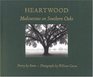 Heartwood Meditations on Southern Oaks