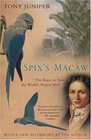 Spix's Macaw  The Race to Save the World's Rarest Bird