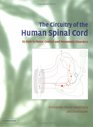 The Circuitry of the Human Spinal Cord Its Role in Motor Control and Movement Disorders