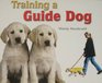 Lbd G2n Nf Training a Guide Dog