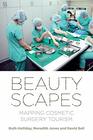Beautyscapes Mapping cosmetic surgery tourism