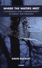 Where the Waters Meet Convergence and Complementarity in Therapy and Theology