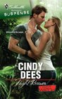 Night Rescuer (H.O.T. Watch, Bk 2) (Silhouette Romantic Suspense, No 1561)
