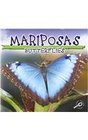 Mariposas Butterflies