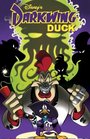 Darkwing Duck FOWL Disposition FOWL Disposition