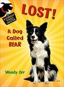 Lost A Dog Called Bear