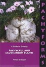 Pachyforms A Guide to Growing Pachycaul and Caudiciform Plants