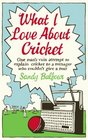 What I Love About Cricket One Man's Vain Attempt to Explain Cricket to a Teenager who Couldn't Give a Toss