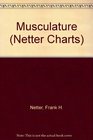 Musculature I  II  2 Chart Set
