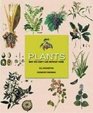 Plants Why You Can't Live Without Them