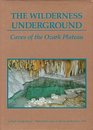 The Wilderness Underground Caves of the Ozark Plateau