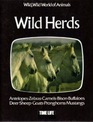 Wild herds Based on the television series Wild wild world of animals