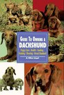 The Guide to Owning a Dachshund