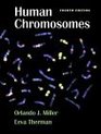 Human Chromosomes Structure Behavior and Effects
